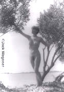 Nude on Tybee Island, I  (1997)