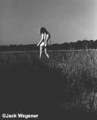 Nude in Marsh, II  (1979)